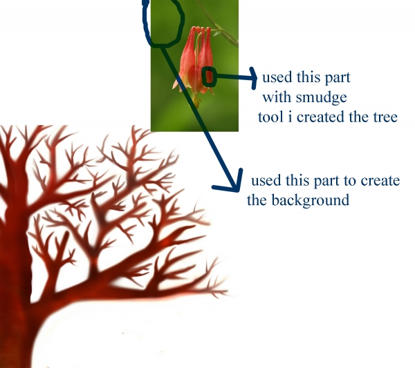 Creation of birds in love...: Step 7